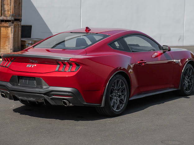 2024-UP MUSTANG S650 | CARBON FIBER LICENSE PLATE FRAME BACKING